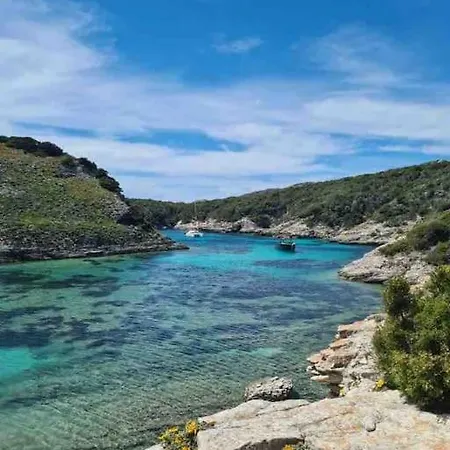 Joli Au Coeur Du Maquis Διαμέρισμα *